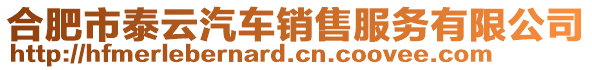 合肥市泰云汽車銷售服務有限公司