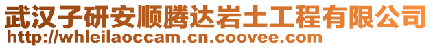 武漢子研安順騰達(dá)巖土工程有限公司