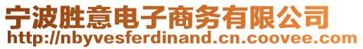寧波勝意電子商務(wù)有限公司