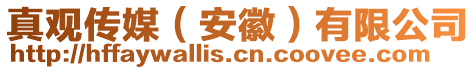 真觀(guān)傳媒（安徽）有限公司