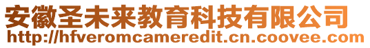 安徽圣未來教育科技有限公司