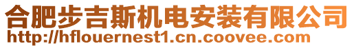 合肥步吉斯機電安裝有限公司