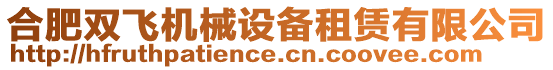 合肥雙飛機械設備租賃有限公司