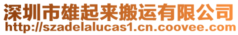 深圳市雄起來搬運有限公司