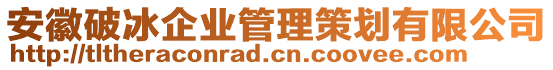 安徽破冰企业管理策划有限公司