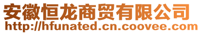 安徽恒龍商貿有限公司