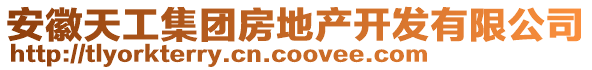 安徽天工集团房地产开发有限公司