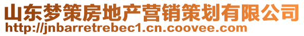 山東夢(mèng)策房地產(chǎn)營(yíng)銷(xiāo)策劃有限公司