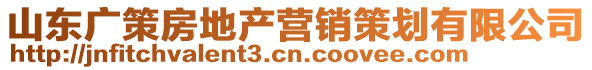 山東廣策房地產營銷策劃有限公司