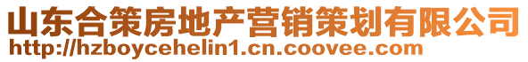 山東合策房地產(chǎn)營(yíng)銷策劃有限公司