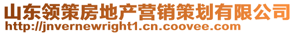 山东领策房地产营销策划有限公司