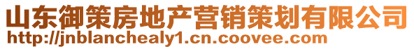 山東御策房地產(chǎn)營銷策劃有限公司