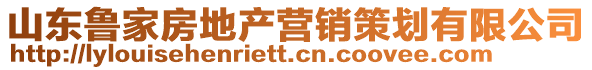 山東魯家房地產(chǎn)營(yíng)銷策劃有限公司