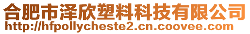 合肥市澤欣塑料科技有限公司