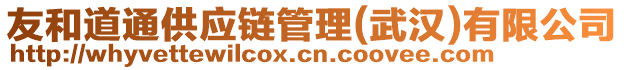 友和道通供應(yīng)鏈管理(武漢)有限公司