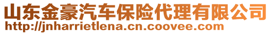 山東金豪汽車保險代理有限公司