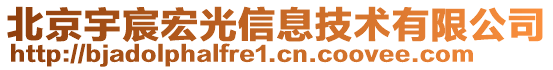 北京宇宸宏光信息技術有限公司