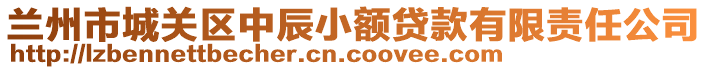 蘭州市城關(guān)區(qū)中辰小額貸款有限責(zé)任公司