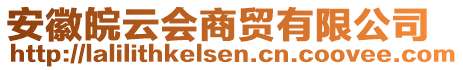 安徽皖云會商貿(mào)有限公司