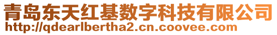 青島東天紅基數(shù)字科技有限公司