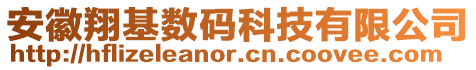 安徽翔基數碼科技有限公司