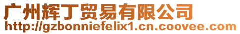 廣州輝丁貿(mào)易有限公司