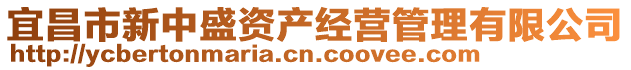 宜昌市新中盛資產經營管理有限公司