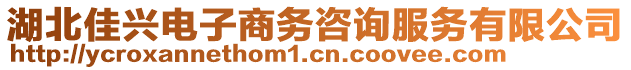 湖北佳興電子商務咨詢服務有限公司