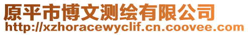原平市博文測(cè)繪有限公司