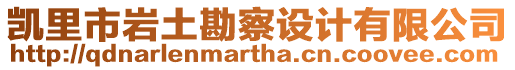凱里市巖土勘察設計有限公司