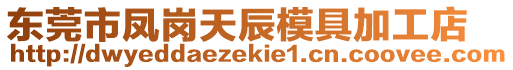 東莞市鳳崗天辰模具加工店