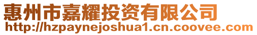 惠州市嘉耀投資有限公司