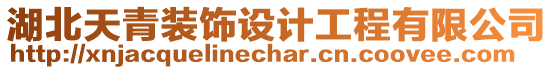 湖北天青裝飾設計工程有限公司