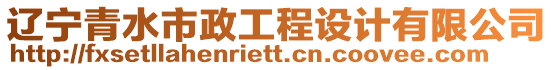 遼寧青水市政工程設計有限公司