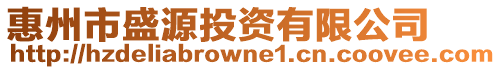 惠州市盛源投資有限公司
