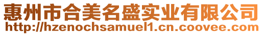 惠州市合美名盛實業有限公司