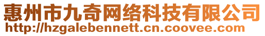 惠州市九奇網絡科技有限公司