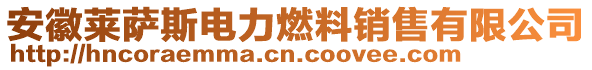 安徽萊薩斯電力燃料銷售有限公司