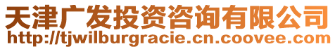 天津廣發(fā)投資咨詢有限公司