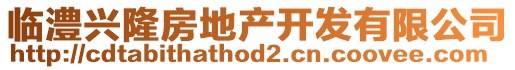 臨澧興隆房地產(chǎn)開發(fā)有限公司