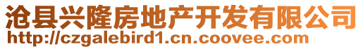 滄縣興隆房地產(chǎn)開(kāi)發(fā)有限公司