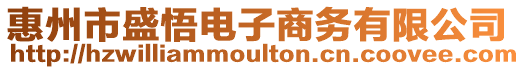 惠州市盛悟電子商務(wù)有限公司