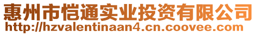 惠州市愷通實業(yè)投資有限公司