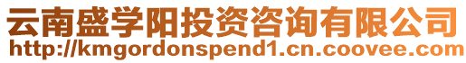 云南盛學陽投資咨詢有限公司
