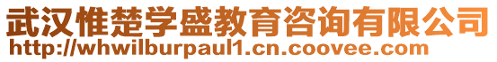 武漢惟楚學(xué)盛教育咨詢有限公司