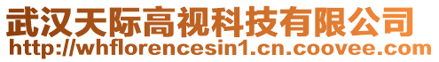 武漢天際高視科技有限公司