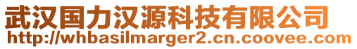 武漢國(guó)力漢源科技有限公司