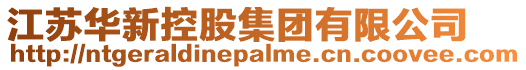 江蘇華新控股集團有限公司