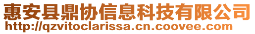 惠安縣鼎協(xié)信息科技有限公司