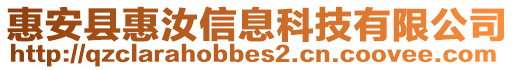 惠安縣惠汝信息科技有限公司